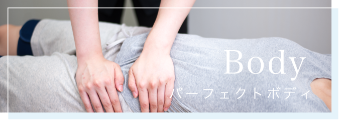 パーフェクトボディーの施術について
