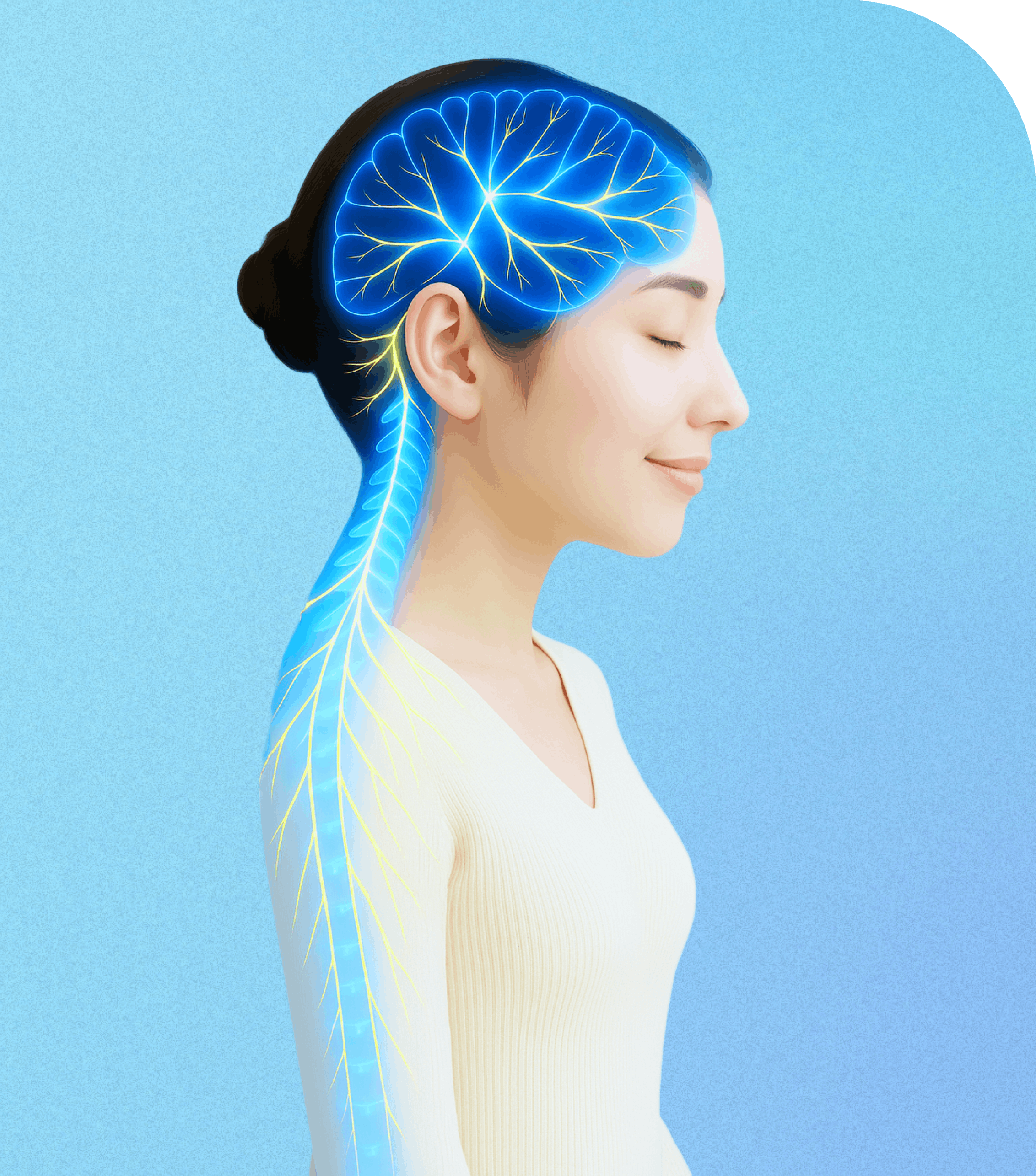 BRAIN PLUS ブランドイメージ