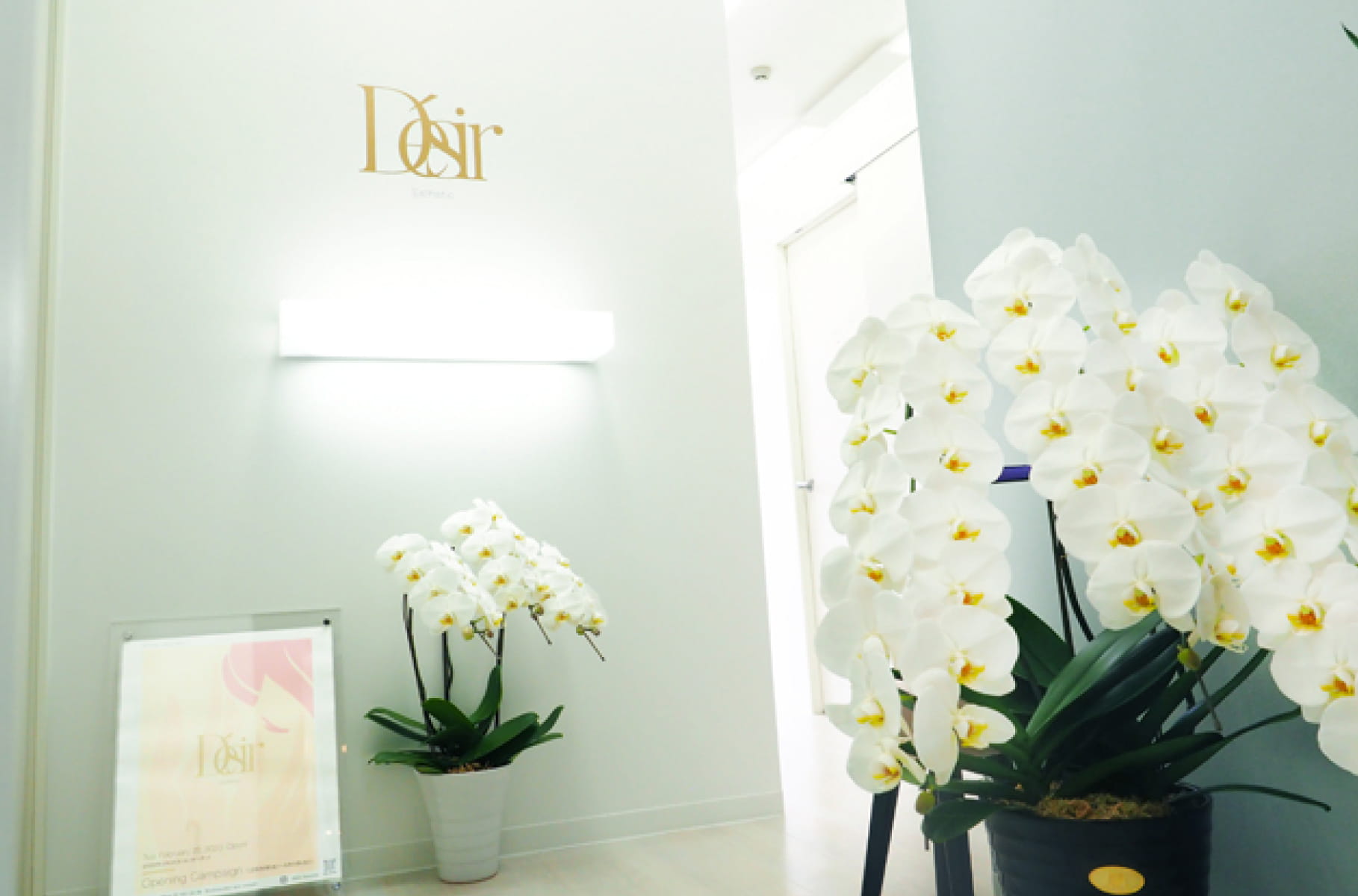 デジールプラスシンメトリー薬院店